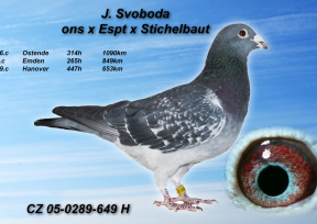 Pre zv��enie klikni na obr�zok